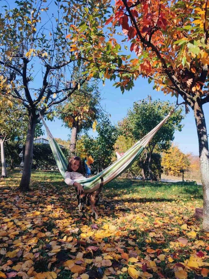 dete u hammock ležaljci u dvorištu punom jesenjih boja